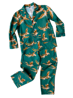 Phoenix Kids pyjamas set